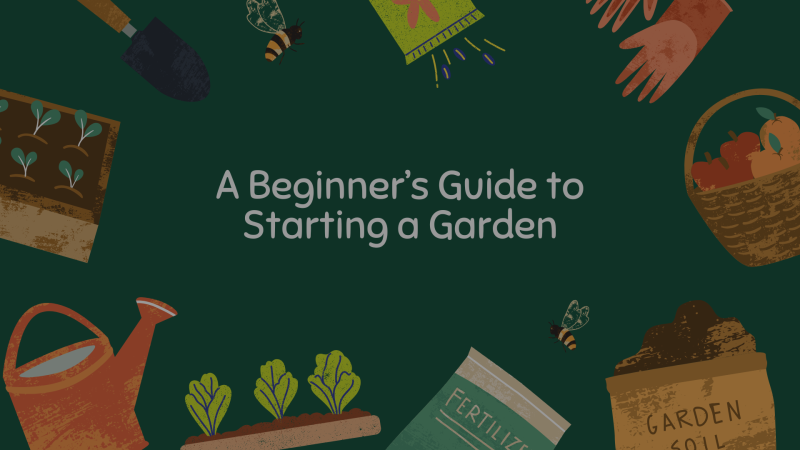 A Beginner’s Guide to Starting a Garden