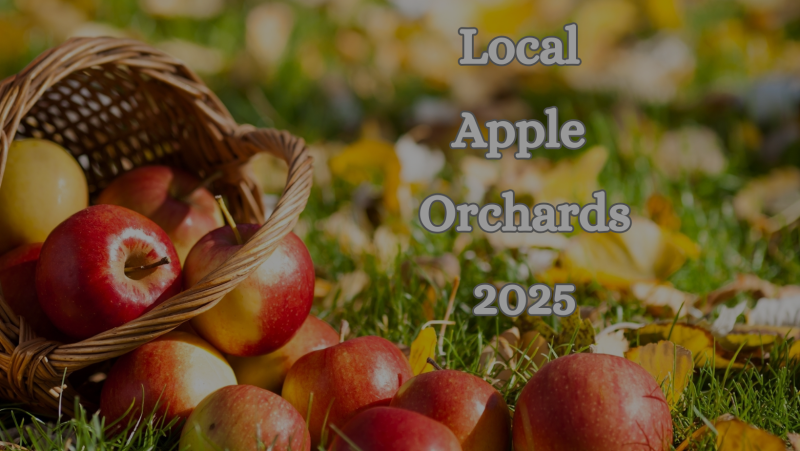 Local Apple Orchards 2025