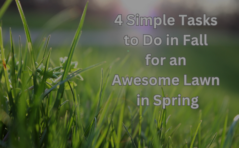 4 Simple Tasks to Do in Fall for an Awesome Lawn in Spring
