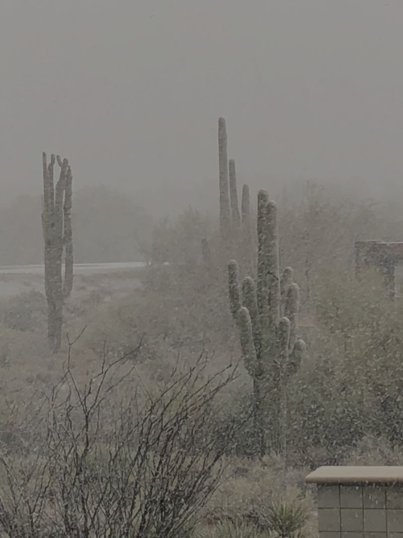 Snow in the Sonoran Desert