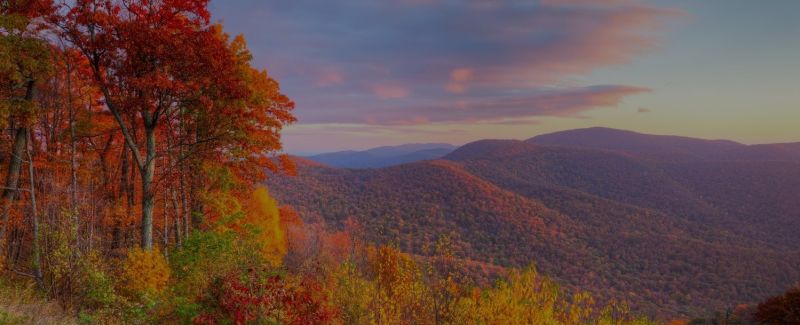 Fall Activities in Virginia
