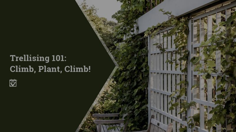 Trellising 101: Climb, Plant, Climb!