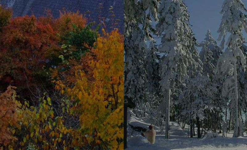 Is Real Estate Cheaper in Fall and Winter?