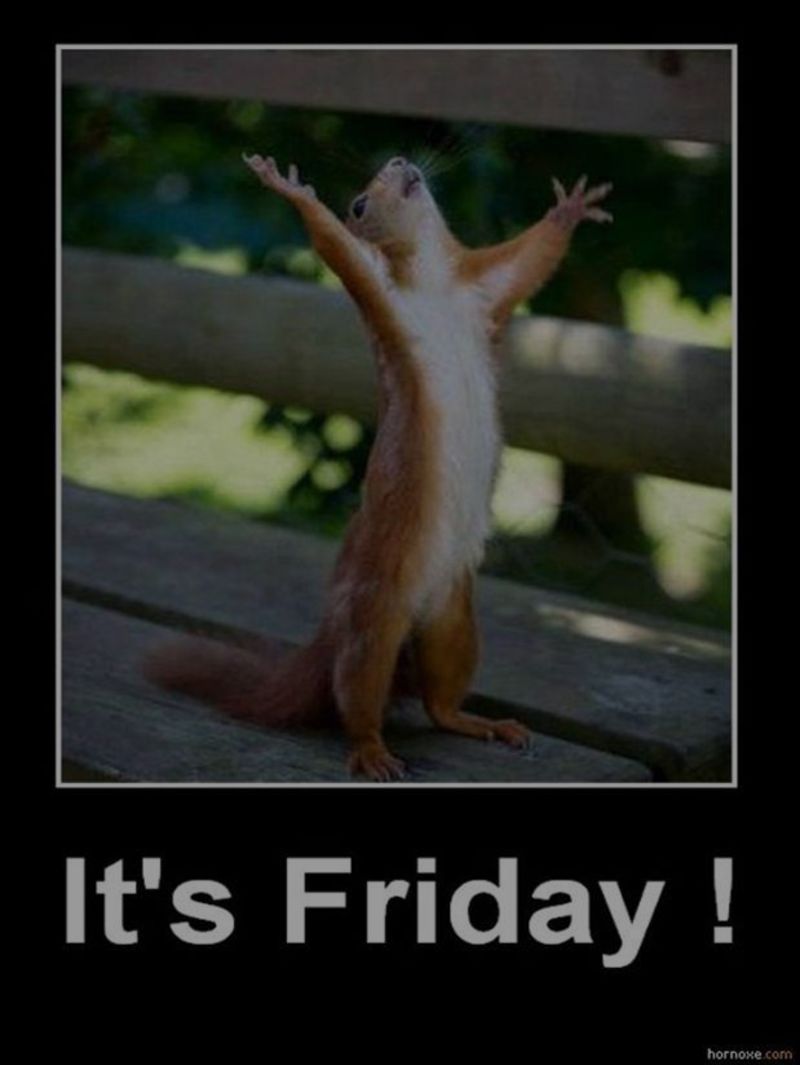The Tammy Mrotek Team Wishes You A Happy Friday!