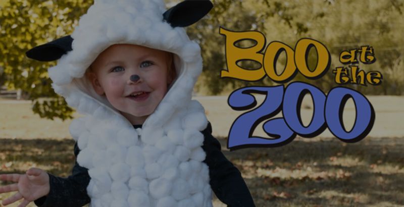 Holiday Fun at Randall Oaks Zoo!