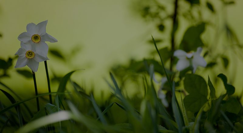 How Interest Rates Can Impact Your Monthly Housing Payments