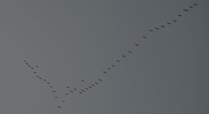 Economic Slowdown: What the Experts Are Saying