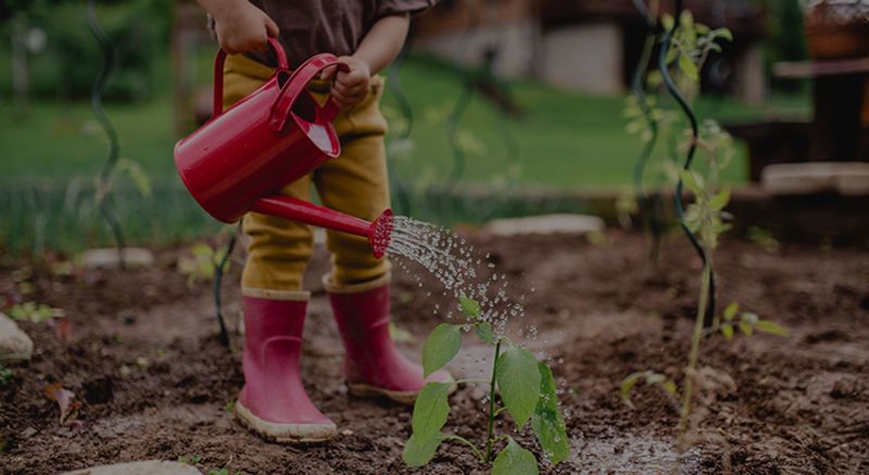 Want to Build Wealth? Buy a Home This Year.