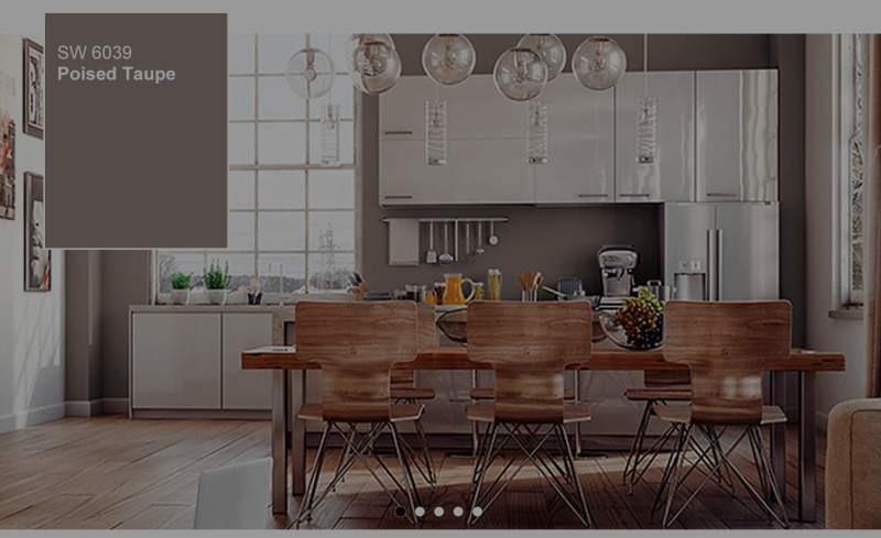 ​2017 Home Design Trends