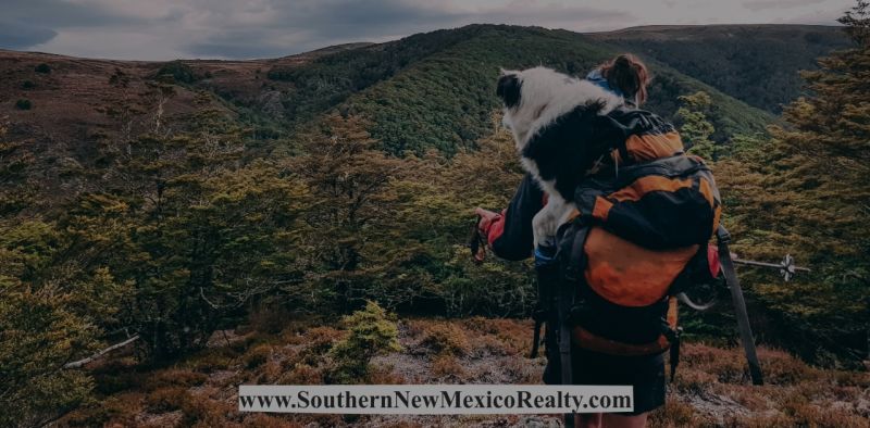 7 Reasons Why People Love Owning a Cabin Home in Ruidoso, New Mexico
