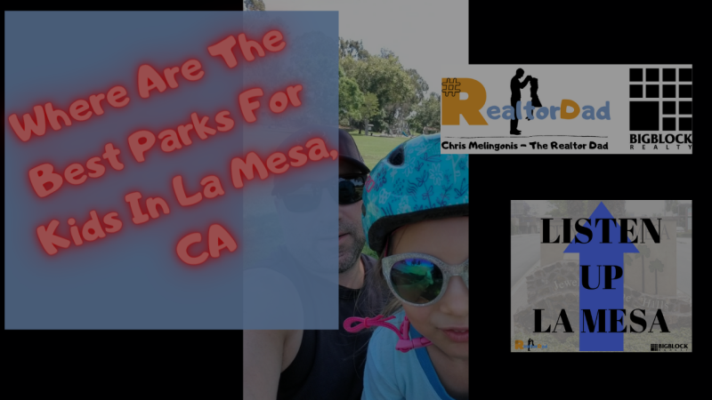 What Are the Best Parks For Kids In La Mesa CA