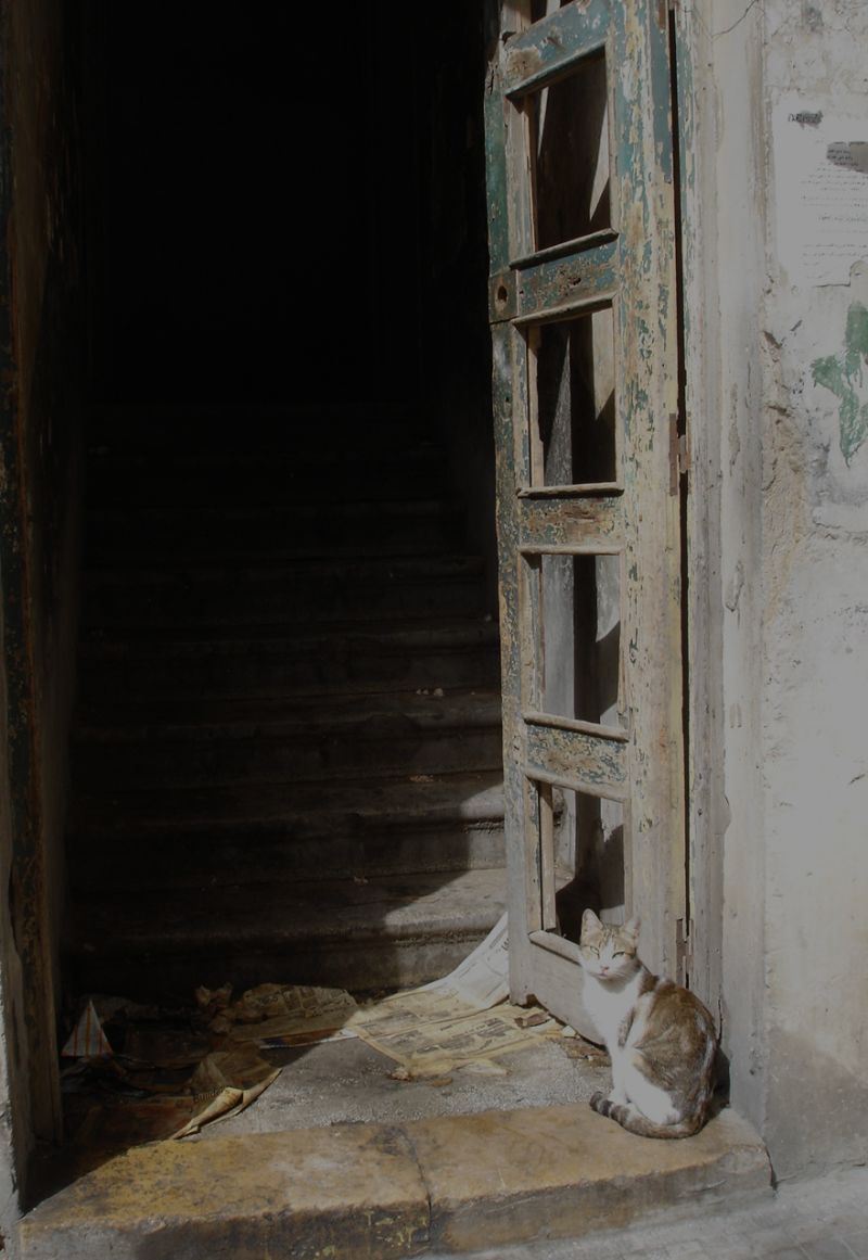 Don&#8217;t be Afraid of the Big, Bad Home Inspection &#8211; La Mesa Homes For Sale