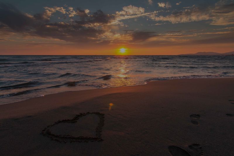Love Your REALTOR®!