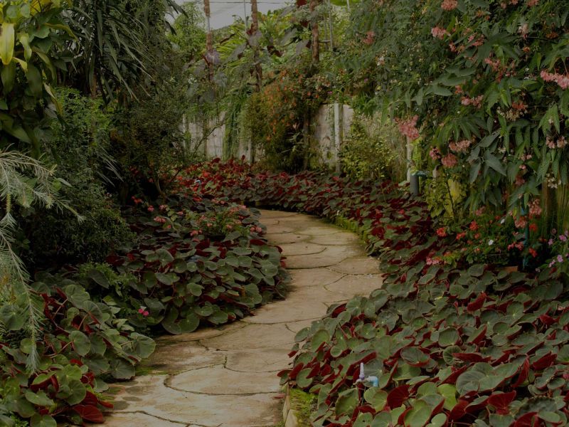 DIY: Easy Landscaping Projects