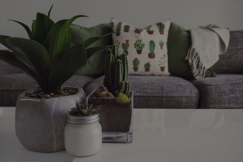 Eye-catching Ways To Decorate With Plants