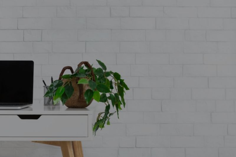 Create the Office of Your Dreams