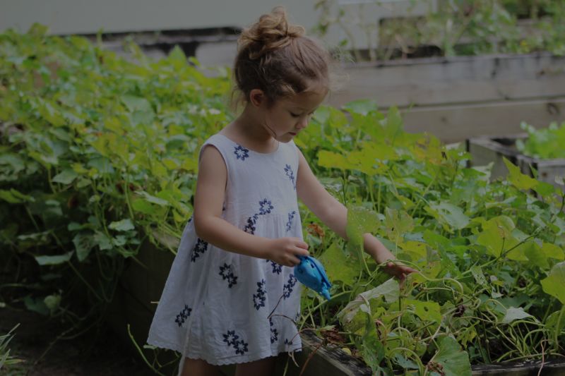 Necessary Tips For New Gardeners