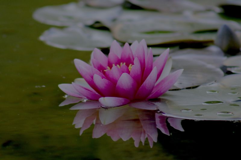 About Feng Shui