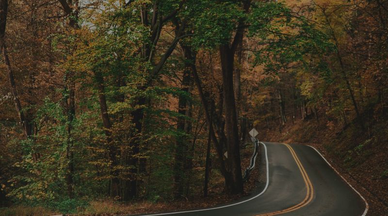 Planning Your 2026 Real Estate Moves: A Guide to the Best Buying and Selling Seasons