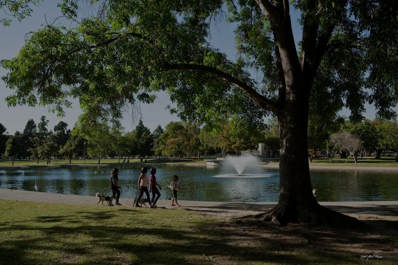 El Dorado Park Long Beach: Why This Established Neighborhood Keeps Attracting the Most Committed Buyers in the City