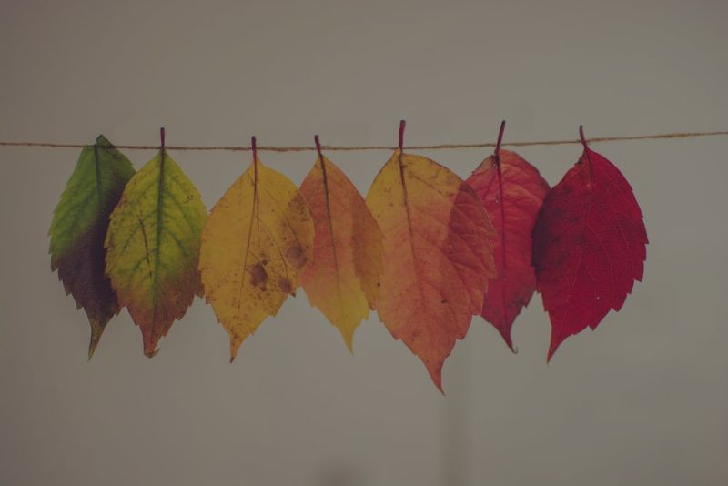 Fall Updates in La Verne, Rancho Cucamonga, Glendora, Azusa and more!