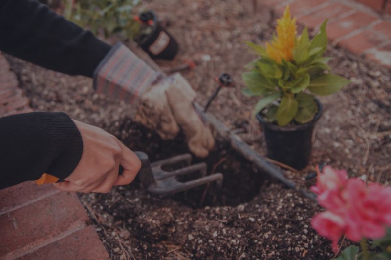 6 Summer Gardening Tips & Real Estate Stats