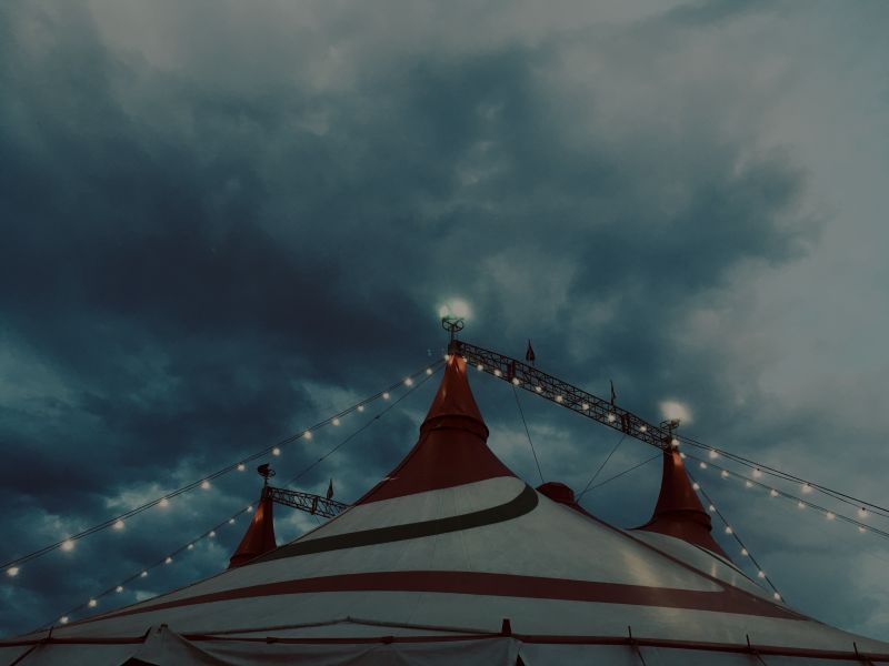 The Real Estate Market is a Circus