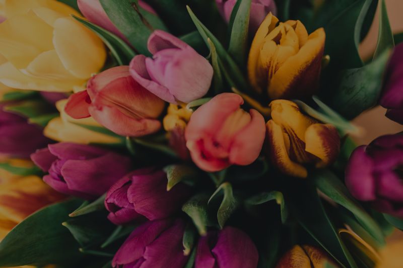 The Spring Bloom: California Median Home Price is Almost $760,000