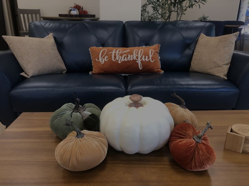 6 Fall Festive Activities to Enjoy