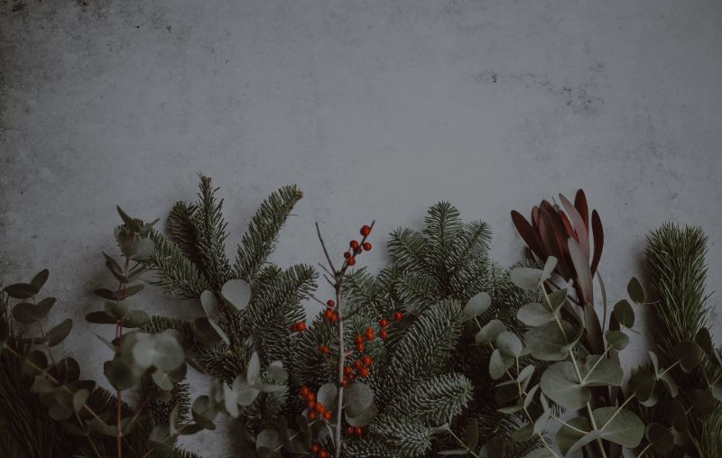 Trends and Your Holiday Playlist