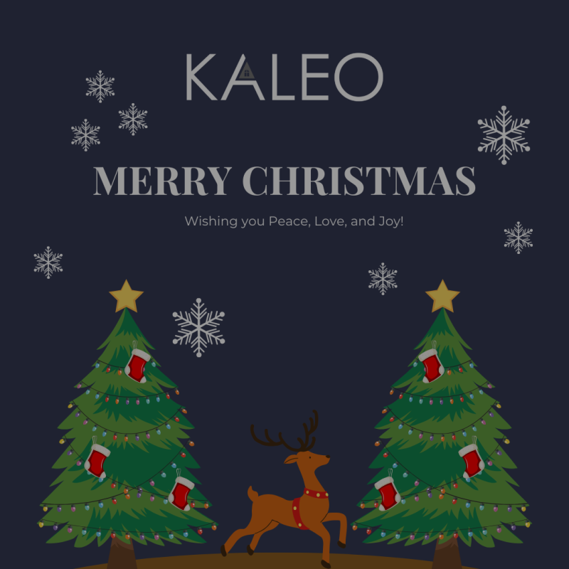 Merry Christmas &amp; Happy Holidays !