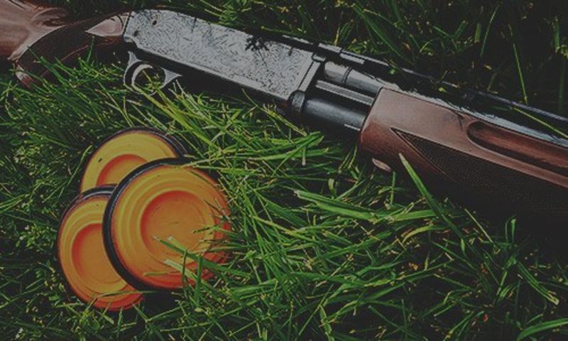 Beginner&#8217;s Guide to Shooting Clay Pigeon