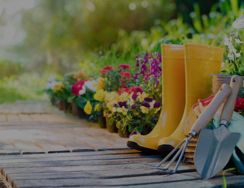 April Showers Bring May Flowers