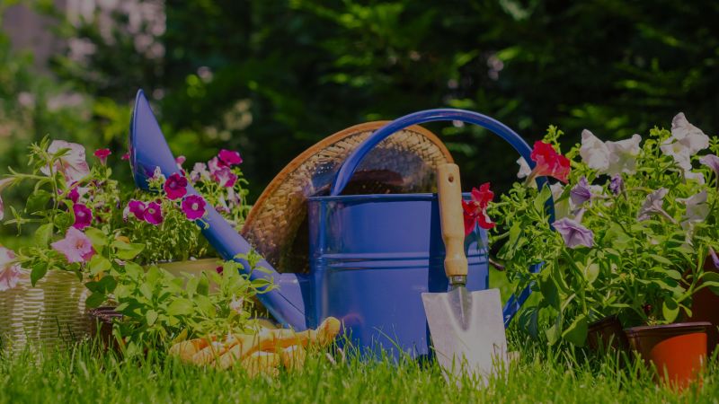 Gardening Tips for National Gardening Day