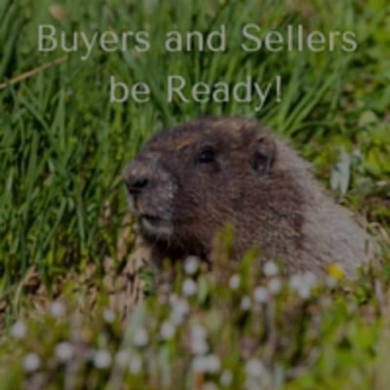 Groundhogs Know Best: Spring Buying Is On