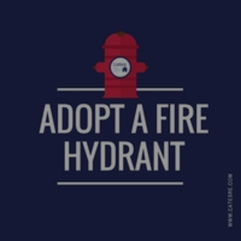 Adopt a Hydrant