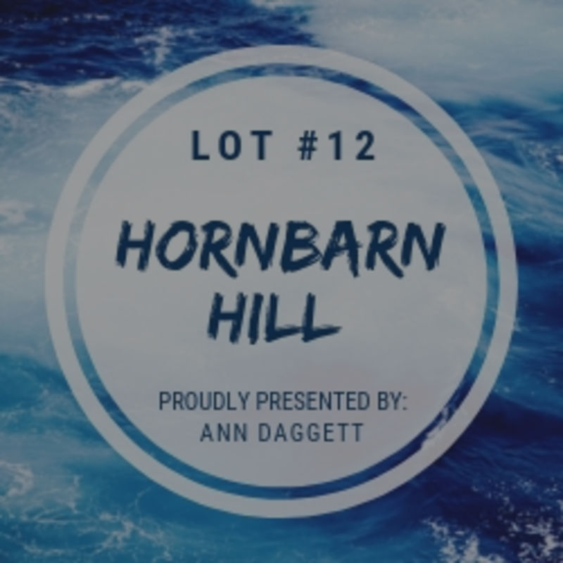 12 Hornbarn Hill Road: Water Access too!