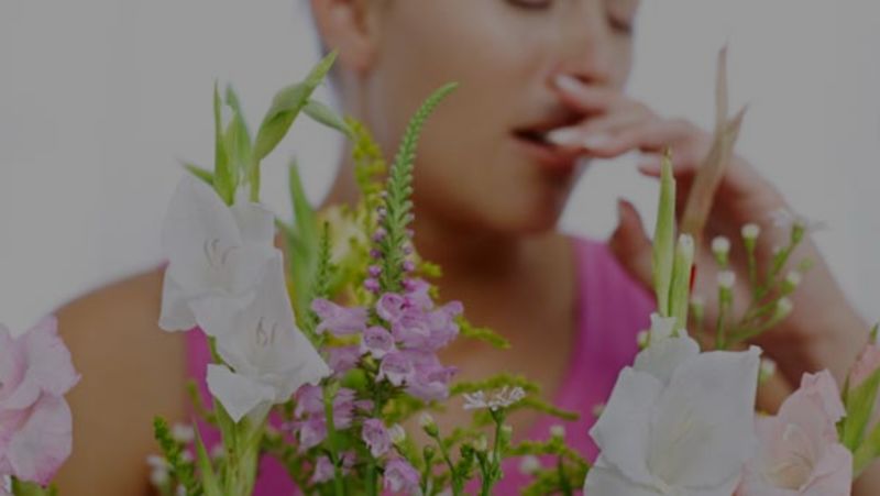4 Ways To Reduce Allergens In Your Home