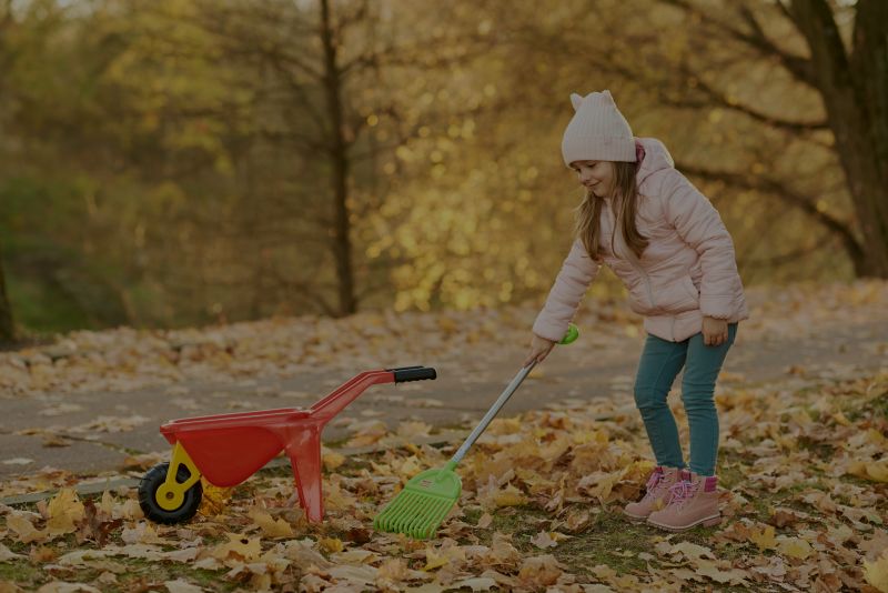 How to Keep Your Yard Leaf Free During Fall
