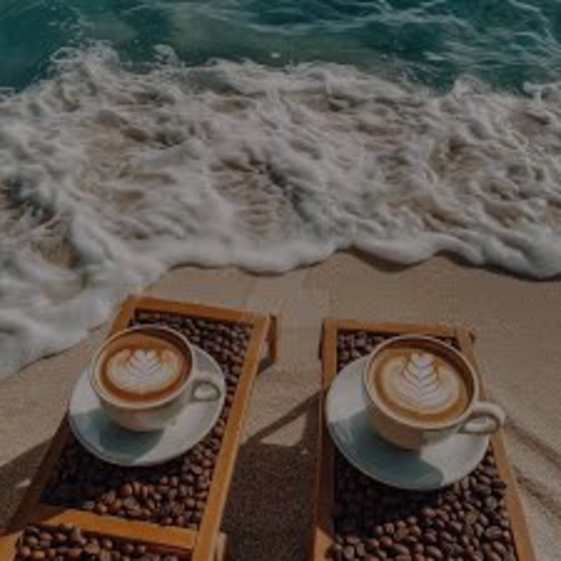 Top Coffee Spots Around Anna Maria Island and Longboat Key