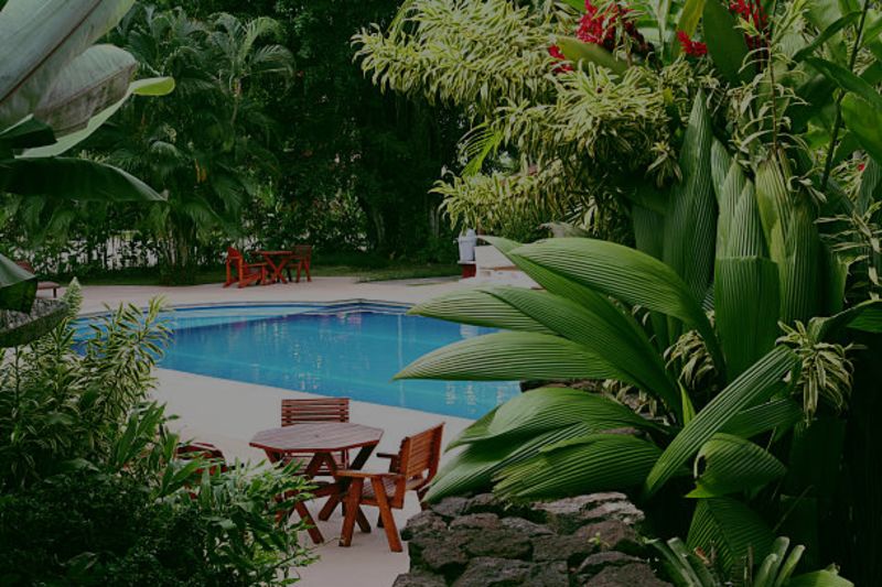 Transform Your Tropical Landscape: Tips for Anna Maria Island and Longboat Key Homeowners