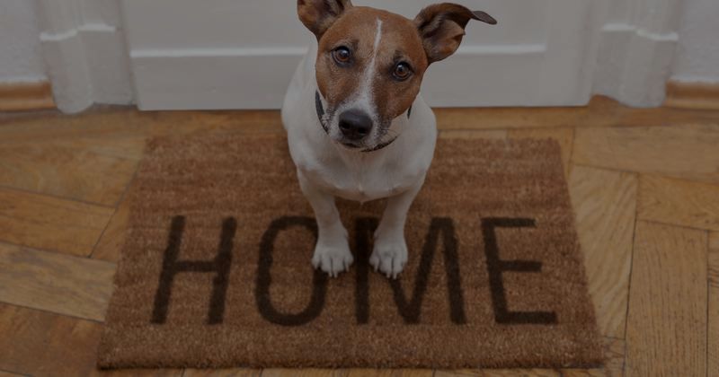 HOMEBUYING: FIRST-TIME HOMEBUYERS’ GUIDE