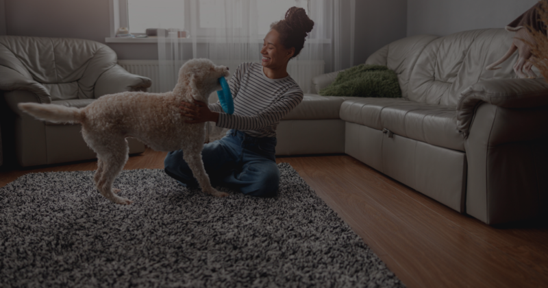 Updating Your Home Insurance Policy
