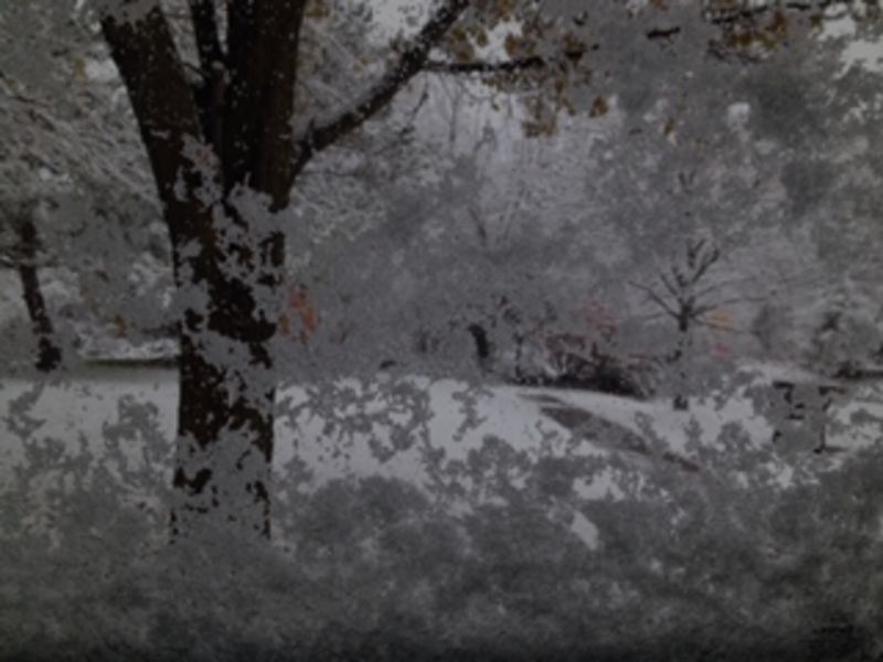 Cold Weather Brings Out Bold Buyers