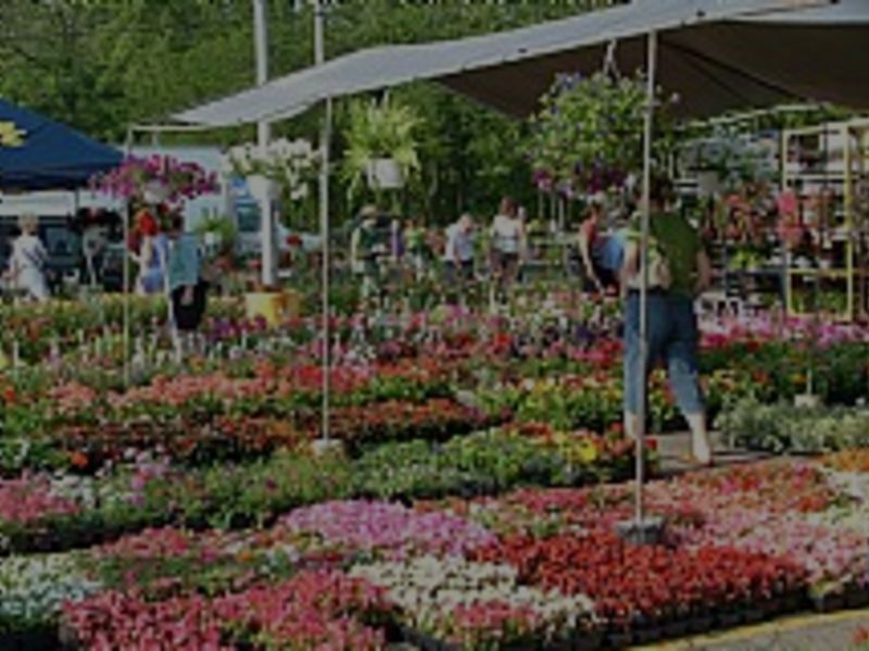 Northville Farmer’s Market