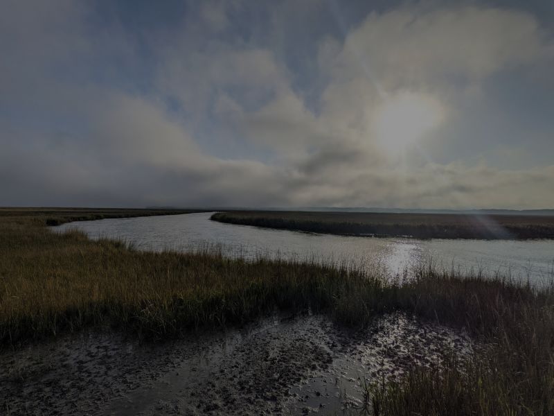 January 2022 Charleston Newsletter and Real Estate Update