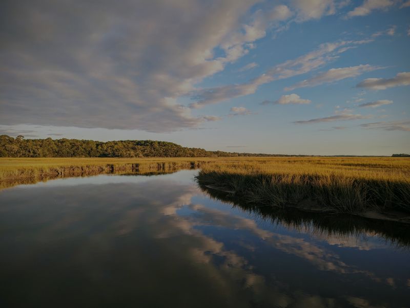 November 2023 Charleston Newsletter and Real Estate Update