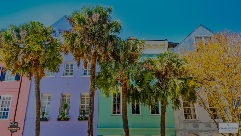 November 2024 Charleston Newsletter and Real Estate Update
