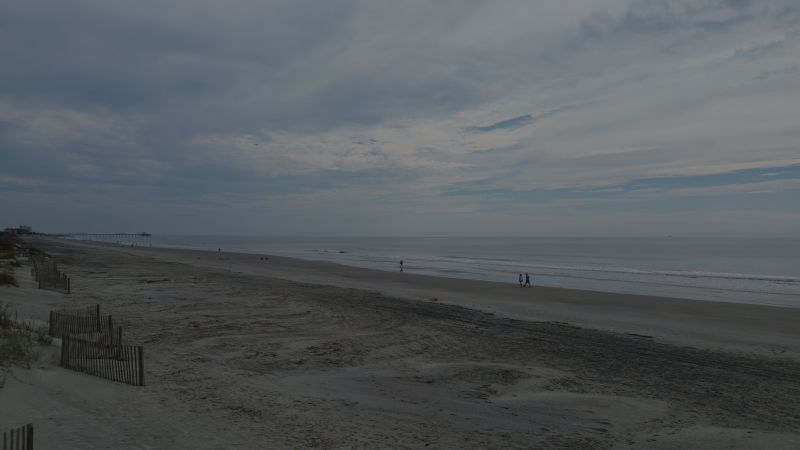 March 2025 Charleston Newsletter and Real Estate Update