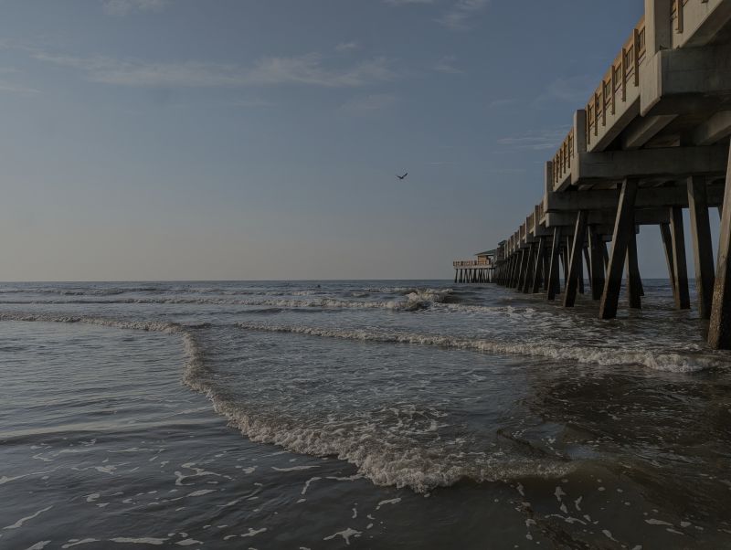 Moving to Charleston, SC? Everything You Need to Know Before You Buy